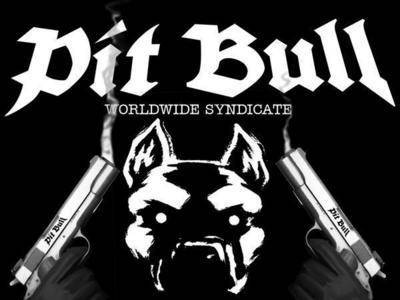 pit bull